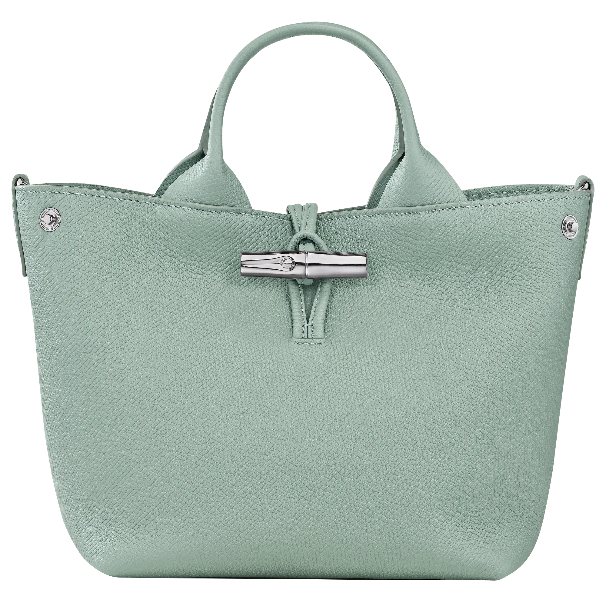 Le Roseau S Handbag Celadon - Leather